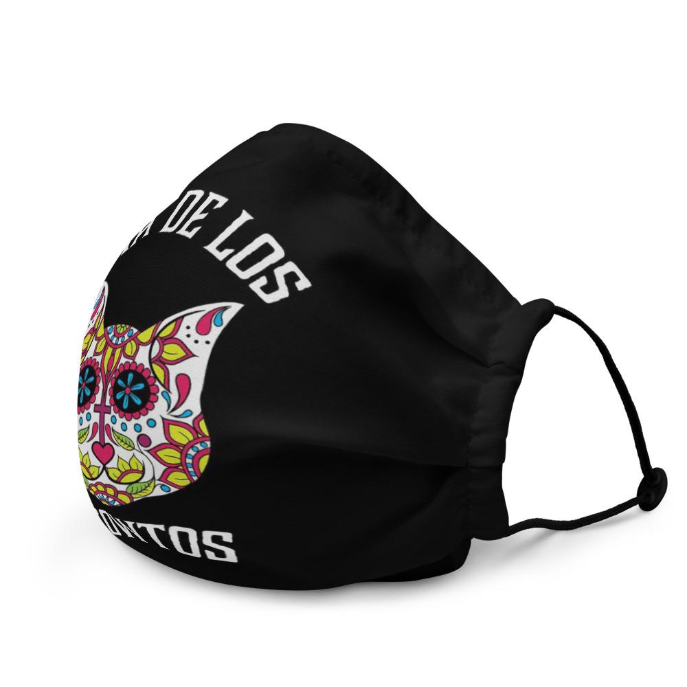 cat-sugar-skull-mask-colorful