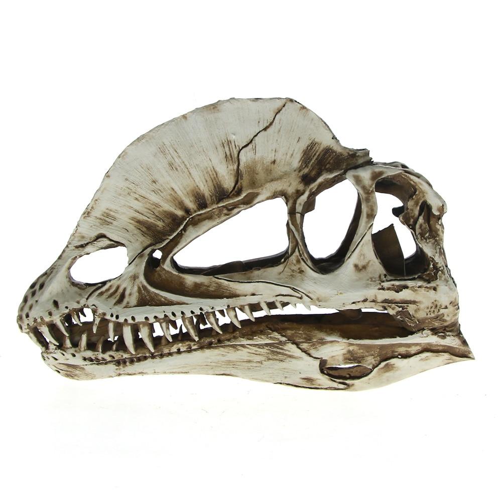 Dragon Skull Decoration | Skull Action