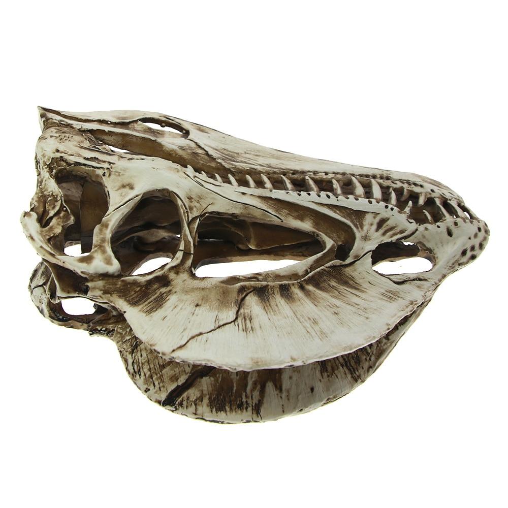 Dragon Skull Decoration | Skull Action