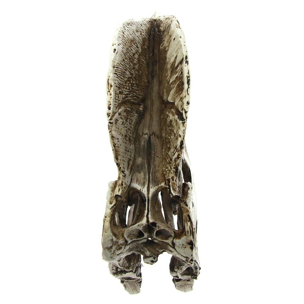 Dragon Skull Decoration | Skull Action