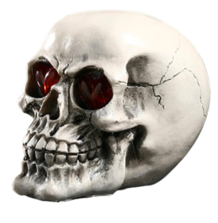 Human Skeleton Decoration