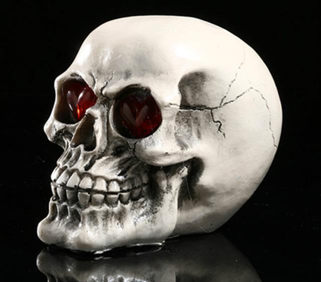 Human Skeleton Decoration