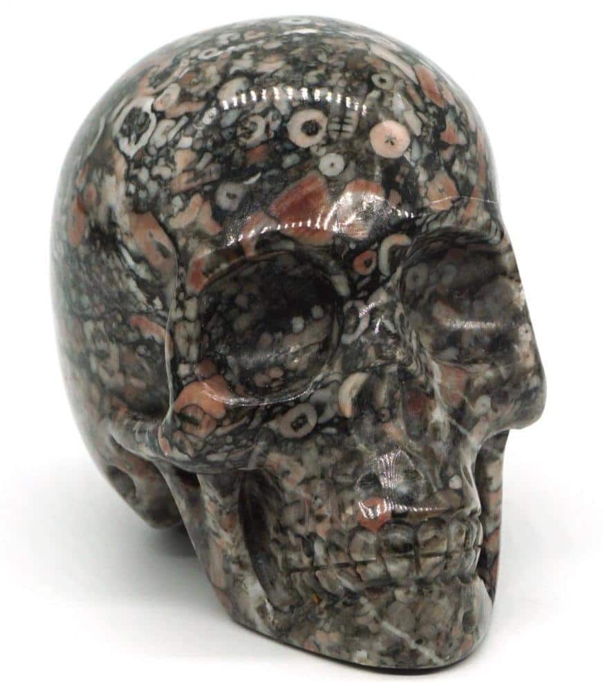 Skull Living Room Decor