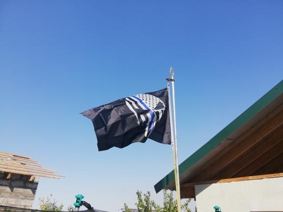punisher flag