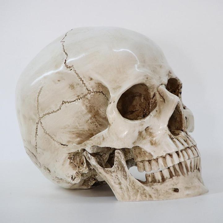 Skull Decorations For The Home | Skull Action