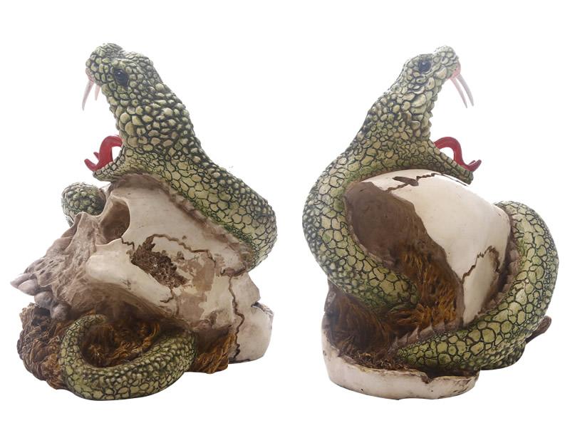 Snake Skull Decoration | Skull Action