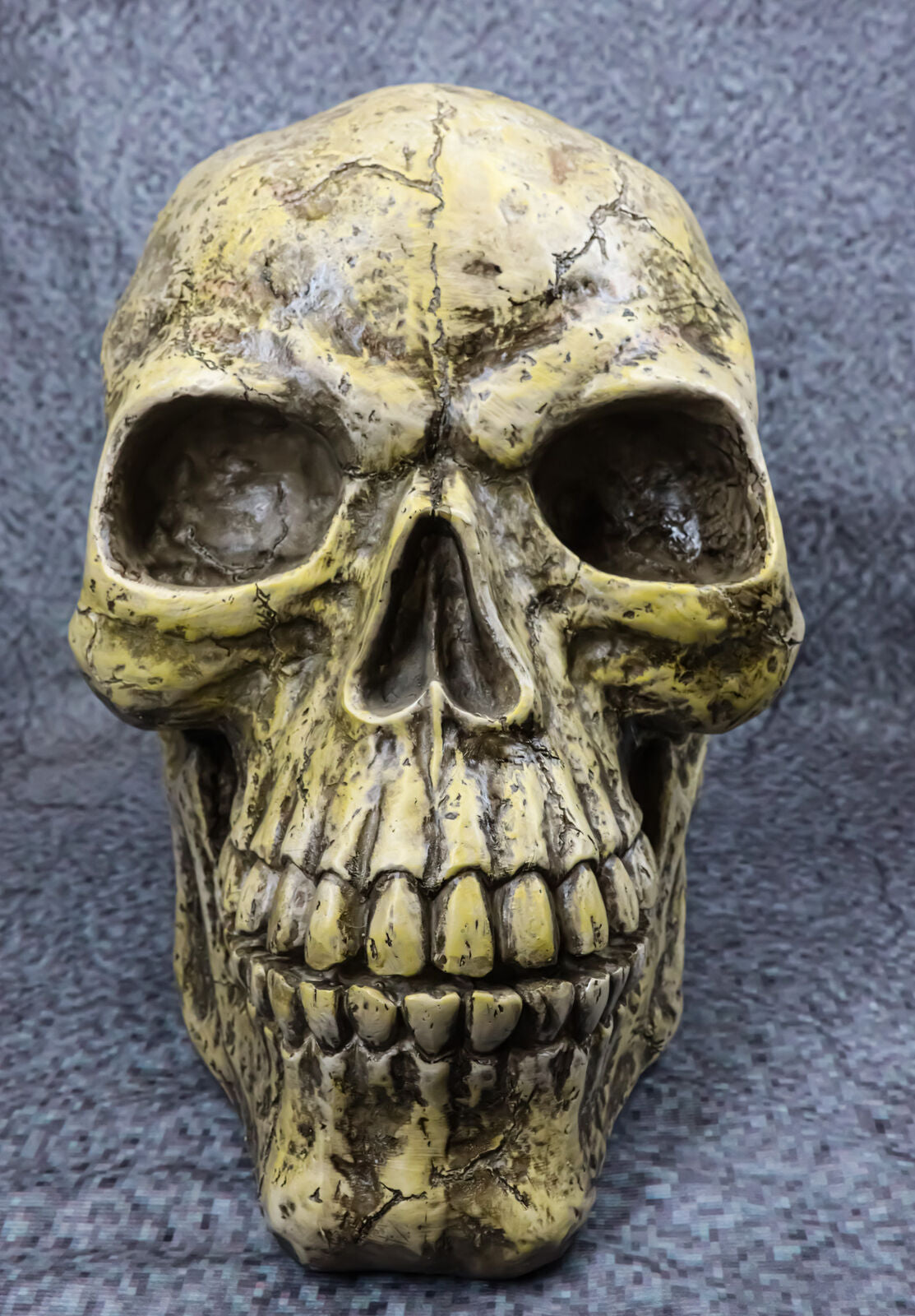 Ebros Giant Oversized Evil Sinister Skull Statue 17"L Halloween Ossuary Decor