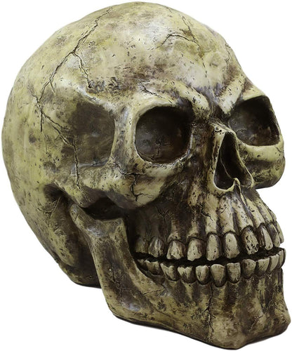 Ebros Giant Oversized Evil Sinister Skull Statue 17"L Halloween Ossuary Decor