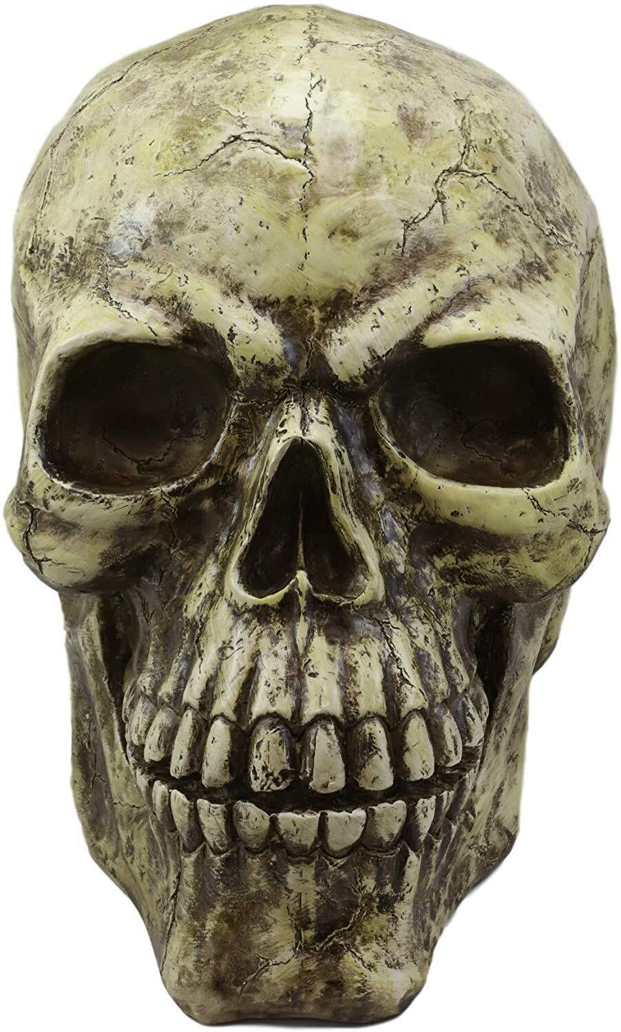 Ebros Giant Oversized Evil Sinister Skull Statue 17"L Halloween Ossuary Decor