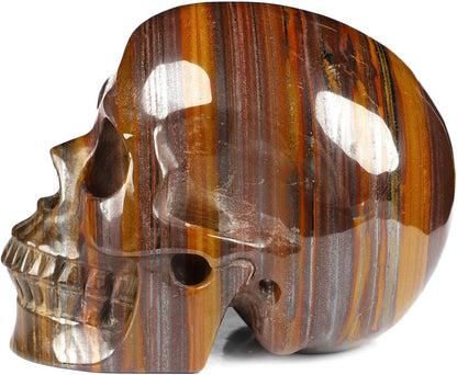 5.0" Colorful Tiger Iron Eye Crystal Skull, Hand Carved Gemstone Fine Art Sculpture, Reiki Healing Stone Statue.2842