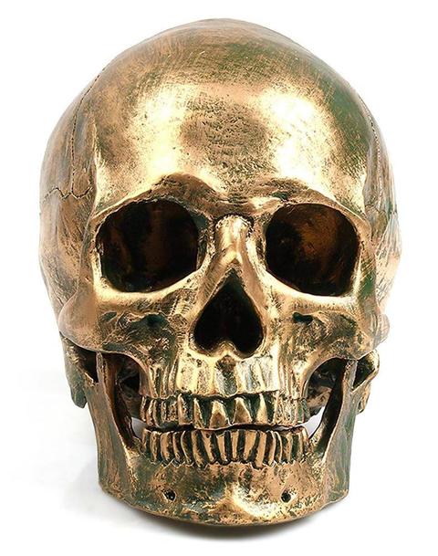 decorative skull head