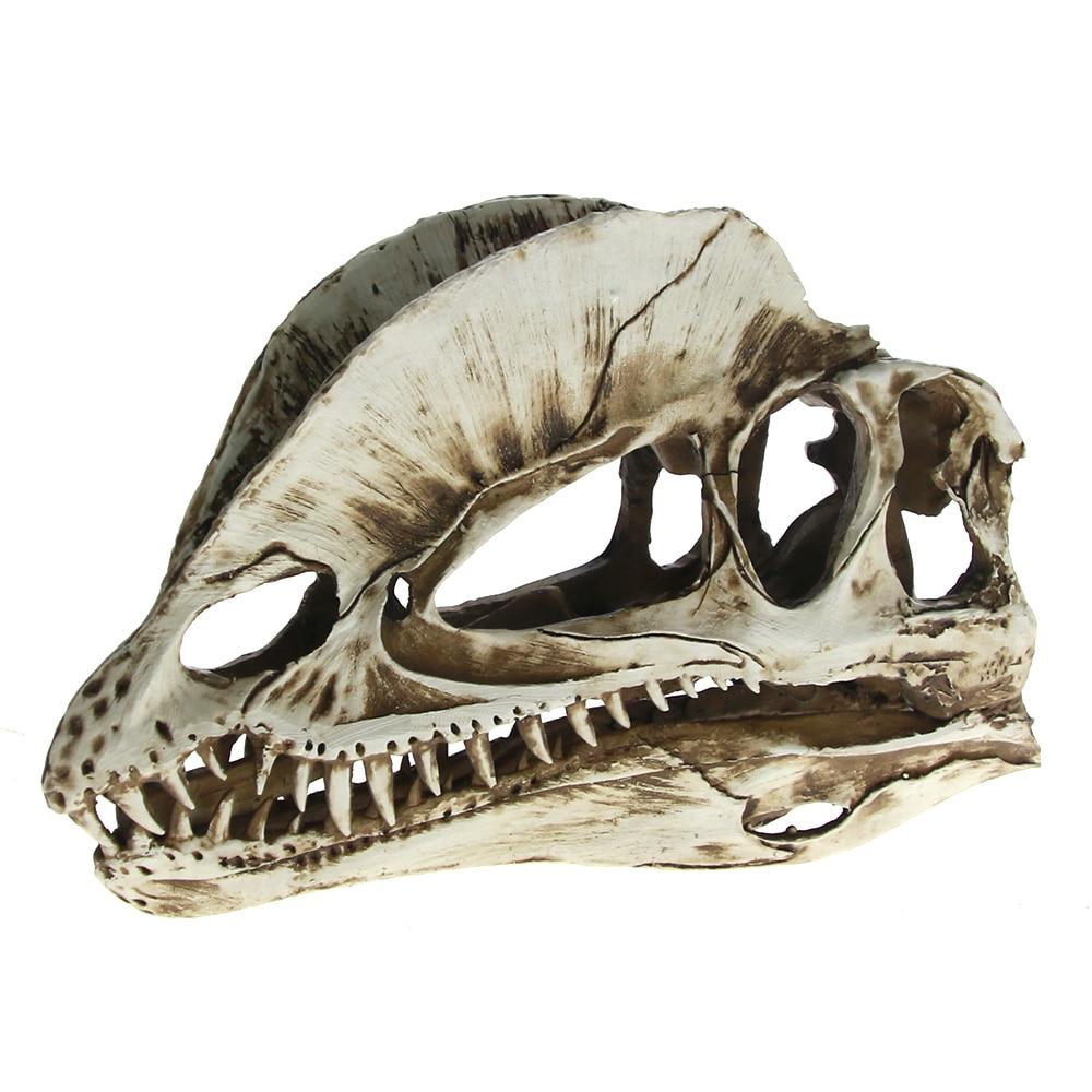 Dragon Skull Decoration