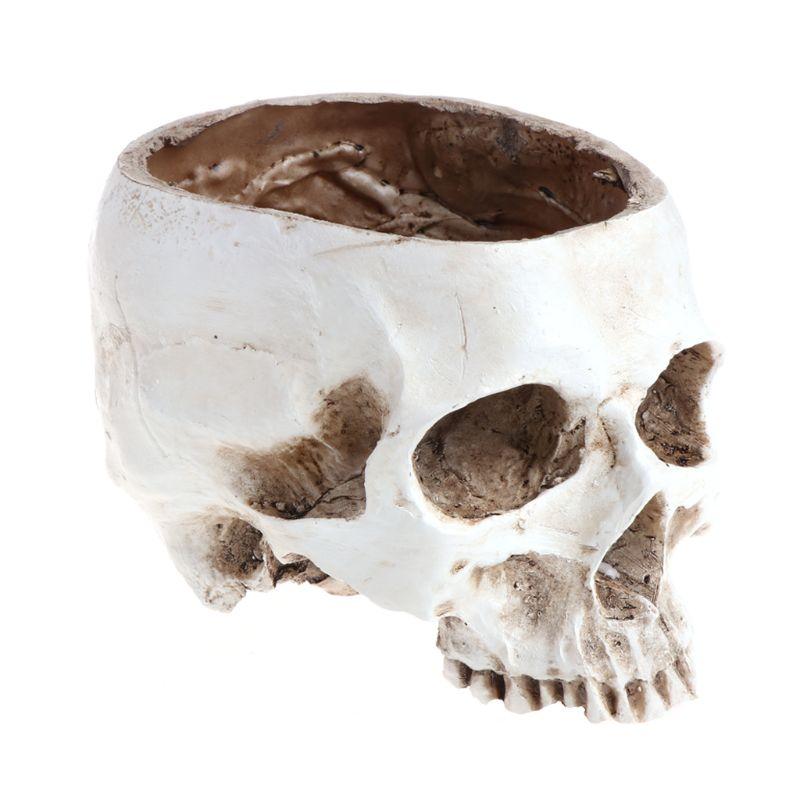 Human Skull Flower Pot | Skull Action