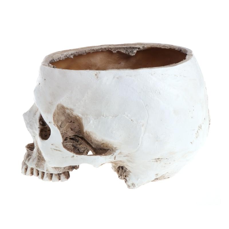 Human Skull Flower Pot | Skull Action