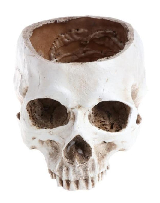 Human Skull Flower Pot