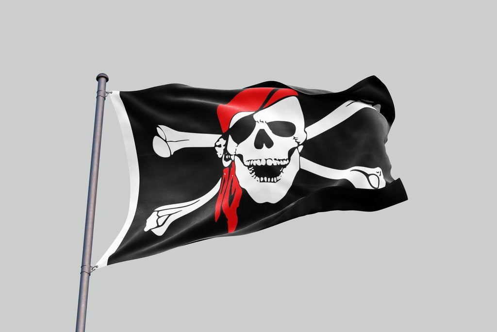 Pirate Flag Skull And Crossbones | Skull Action