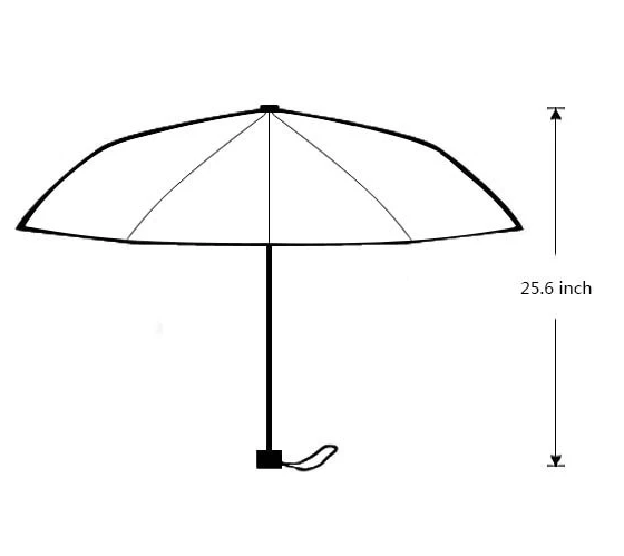 Pirate Skull Umbrella | Skull Action