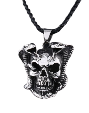 Real Snake Skull Necklace