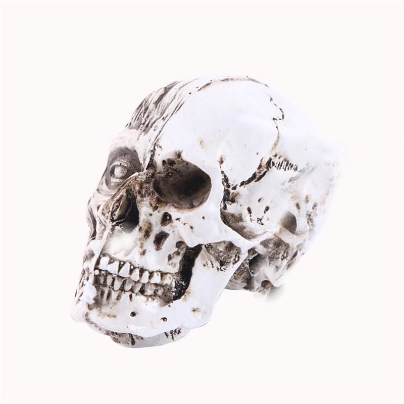 Resin Skull Decoration | Skull Action