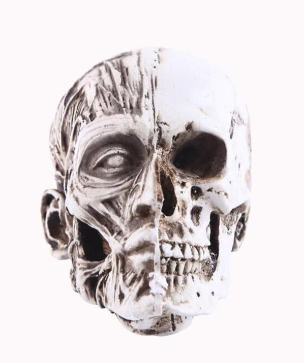Resin Skull Decoration