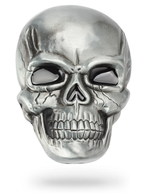 Silver Skull Mask