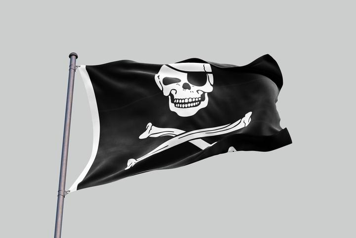 Skull And Crossbones Flag | Skull Action