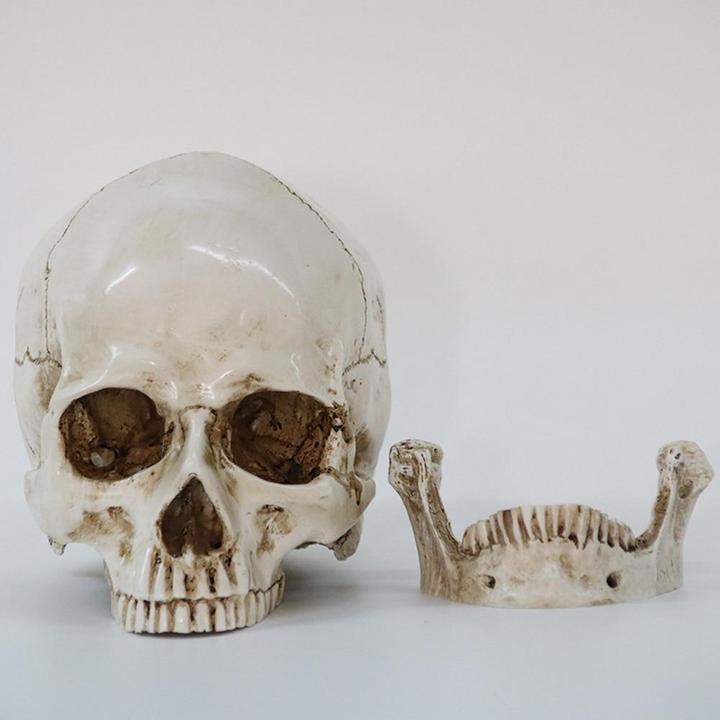 Skull Decorations For The Home | Skull Action