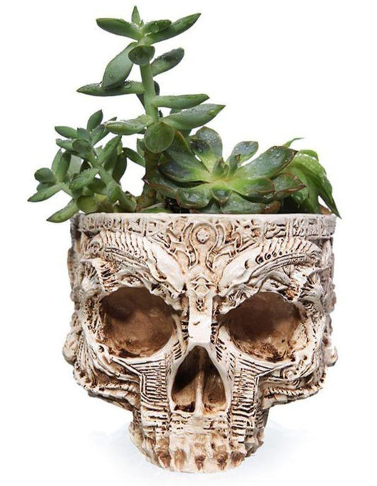 Skull Flower Pot Decor
