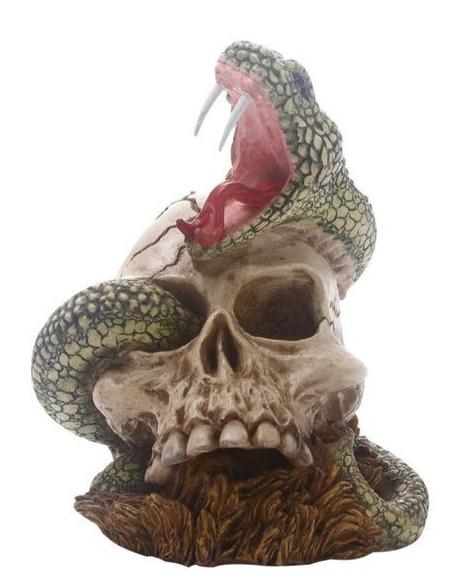 Snake Skull Decoration